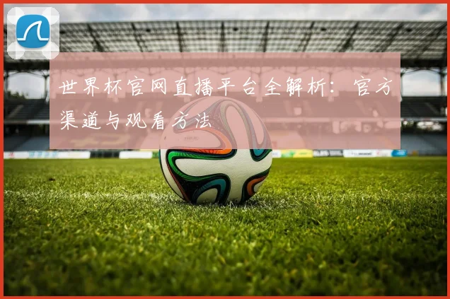 世界杯官网直播平台全解析：官方渠道与观看方法