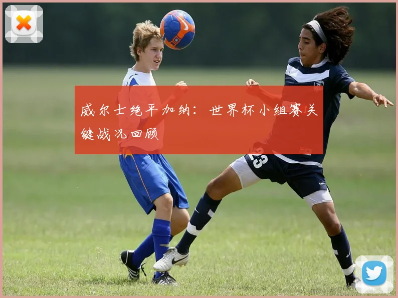威尔士绝平加纳：世界杯小组赛关键战况回顾